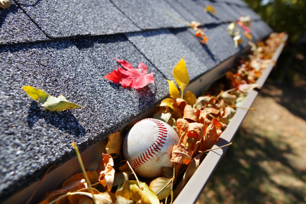 A gutter filled with red, yellow, orange leaves and one baseball.