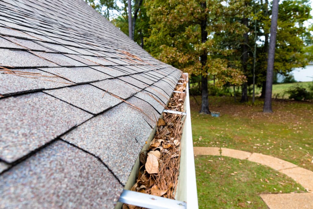 Leaves and pine needles are clogging a gutter