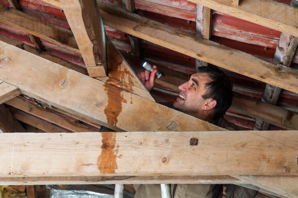 A man uses a flashlight to inspect a leak in his attic