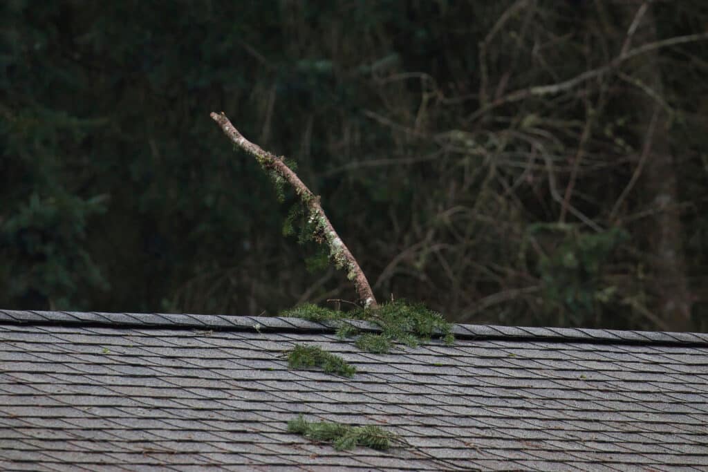 A large branch is stuck on an asphalt shingle roof after a large storm