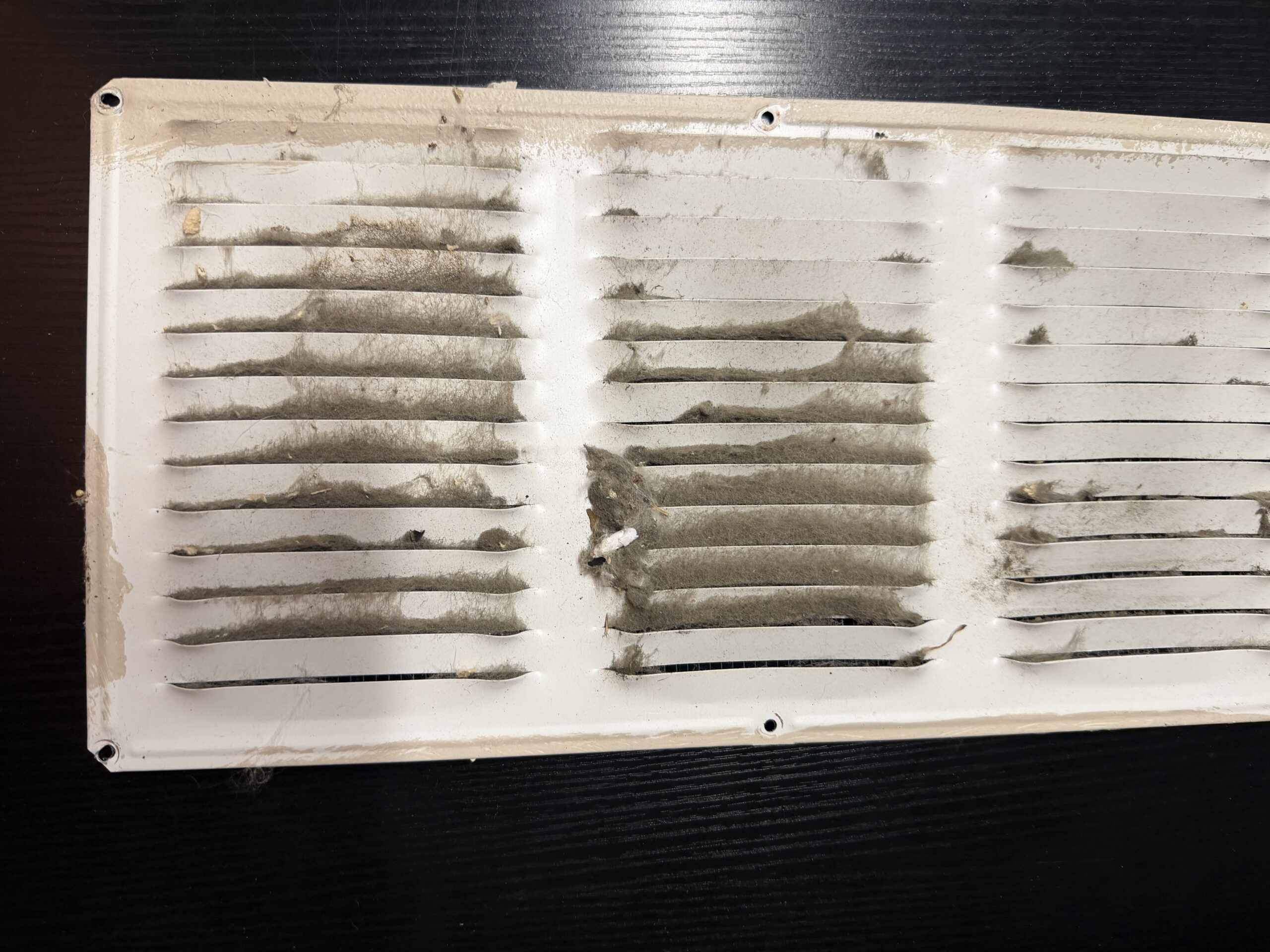 A clogged soffit vent