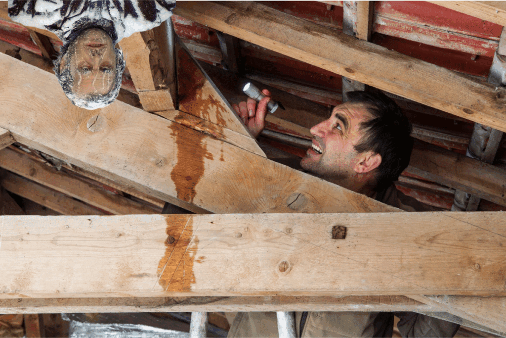 A man using a flashlight to peek into an attic. A frosty Jack Torrance from The Shining lurks in a corner.