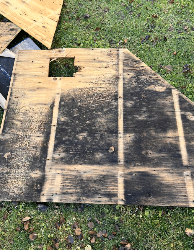 Part of a rotting wood decking from attic mold