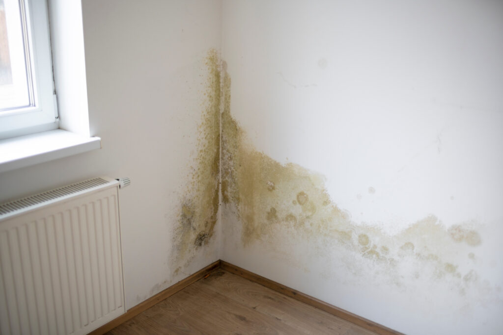Water and mold stains on an interior wall