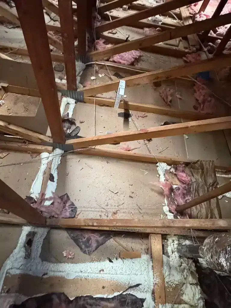 Attic with insulation removed