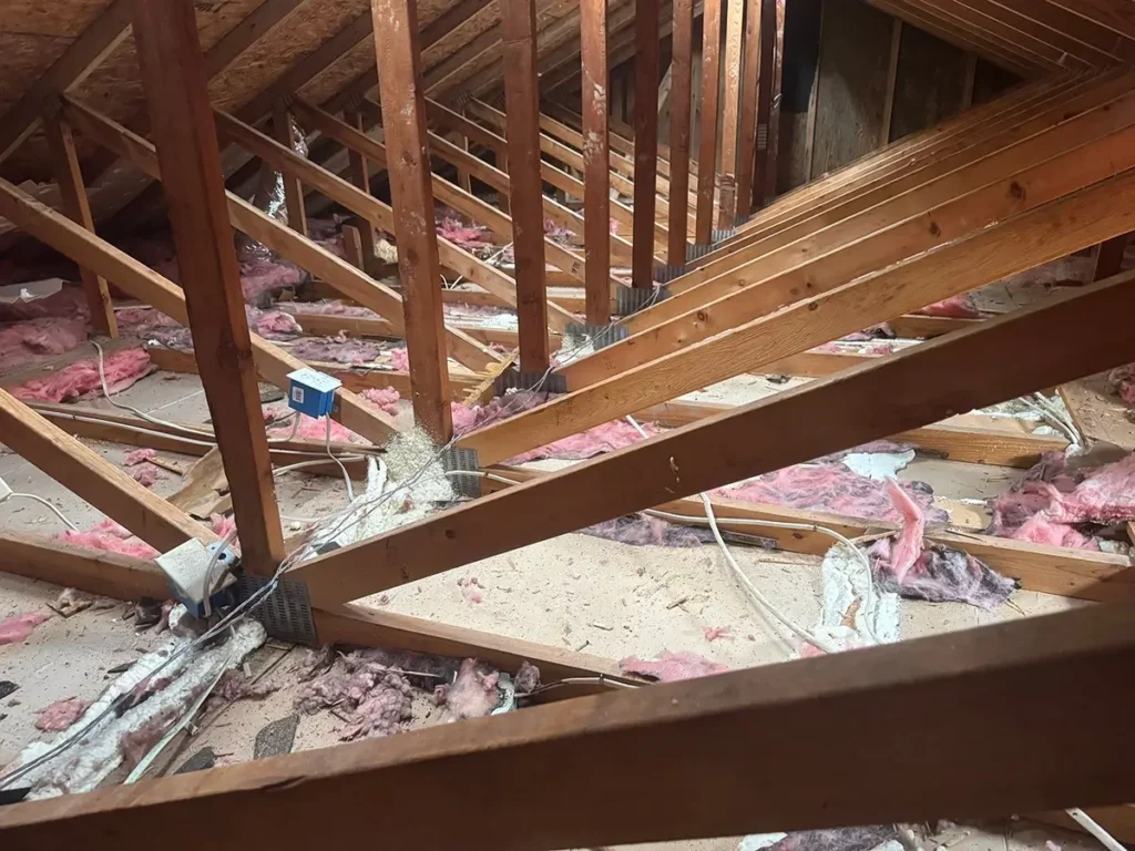 Attic with insulation removed