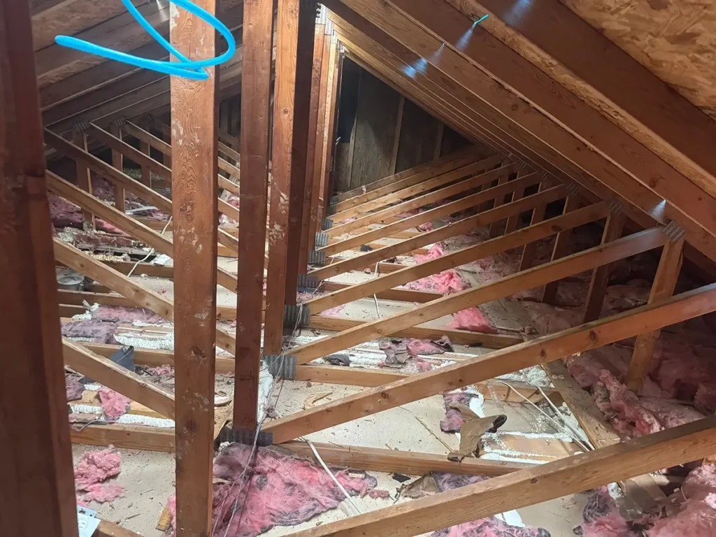 Attic with insulation removed