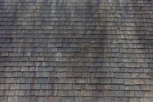 Discolored roofing shingles from algae growth